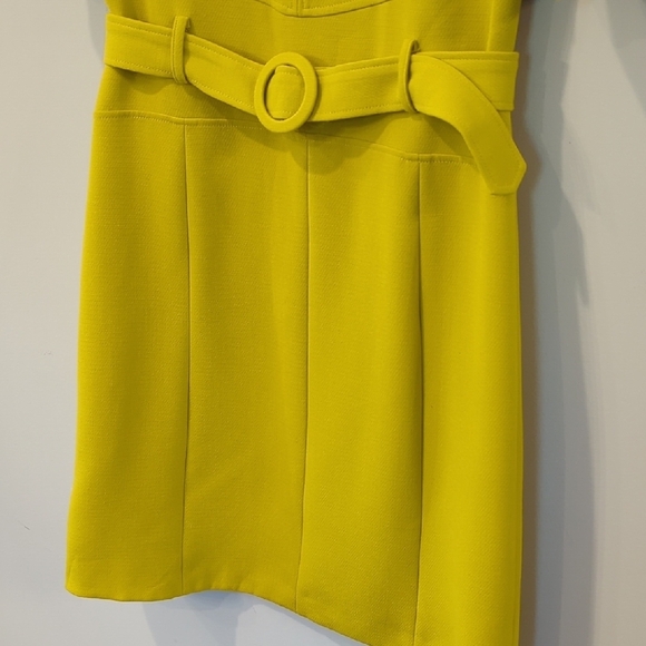 Caroline Biss Dress Chartruese Belted Tailored size 38 - Picture 4 of 13